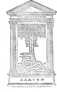 1548年に出版されたGian Giorgio Trissinoによる「La Italia Liberata Da」Gotiのイラスト